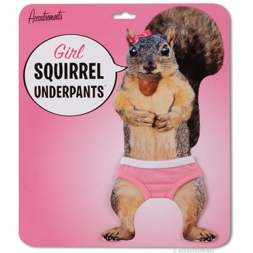 Buy Squirrel Holding Pine Nuts Womens Underwear Online at desertcartOMAN