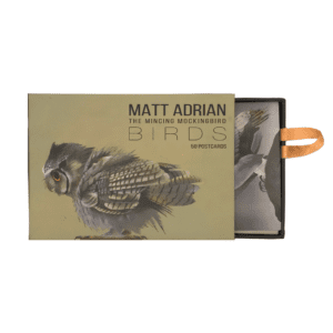 Mincing Mockingbird Matt Adrian Birds with matchbox drawer open