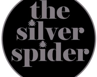 The Silver Spider image