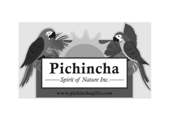 Pichincha image
